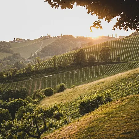 Hohler Lejlighed Gamlitz