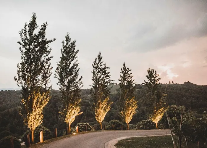 Hohler Apartmán Gamlitz